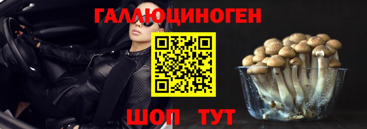 Псилоцибиновые грибы GOLDEN TEACHER  Вход с VPN  Георгиевск 